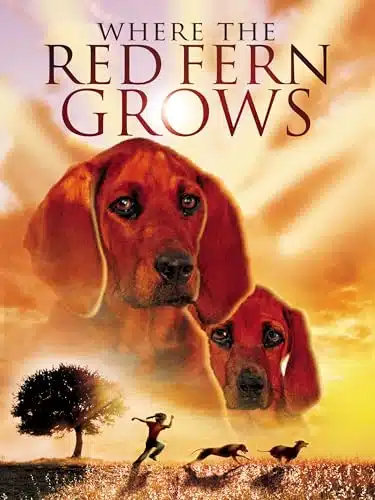 Where The Red Fern Grows