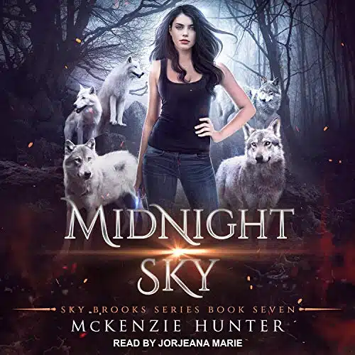 Midnight Sky Sky Brooks Series, Book